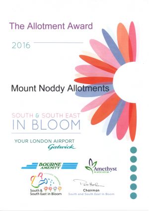 The Allotment Award 2016